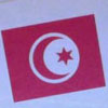 Tunisie : Une erreur de copié collé à partir d’Internet provoque une crise à l’assemblée constituante